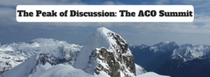 The Peak of Discussion- The ACO Summit, Todd Berner, Healthcare